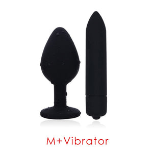 Silicone Anal Plug and 10 Speed Bullet Vibrator Kits